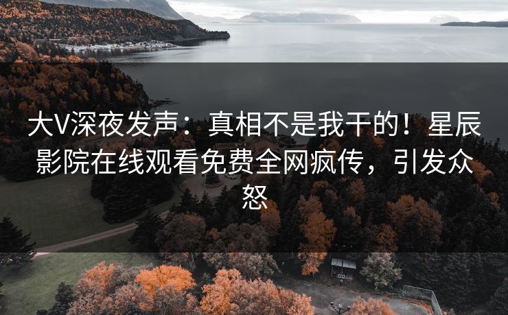 大V深夜发声：真相不是我干的！星辰影院在线观看免费全网疯传，引发众怒